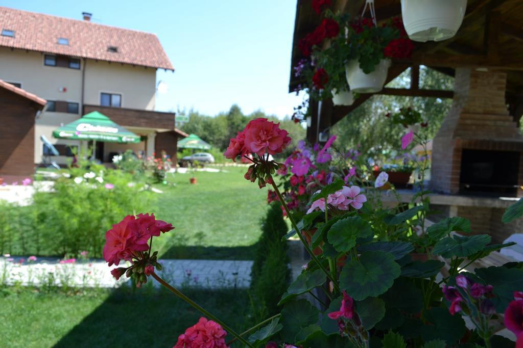 Отель Pensiunea Royal Garden Сымбэта-де-Сус Экстерьер фото