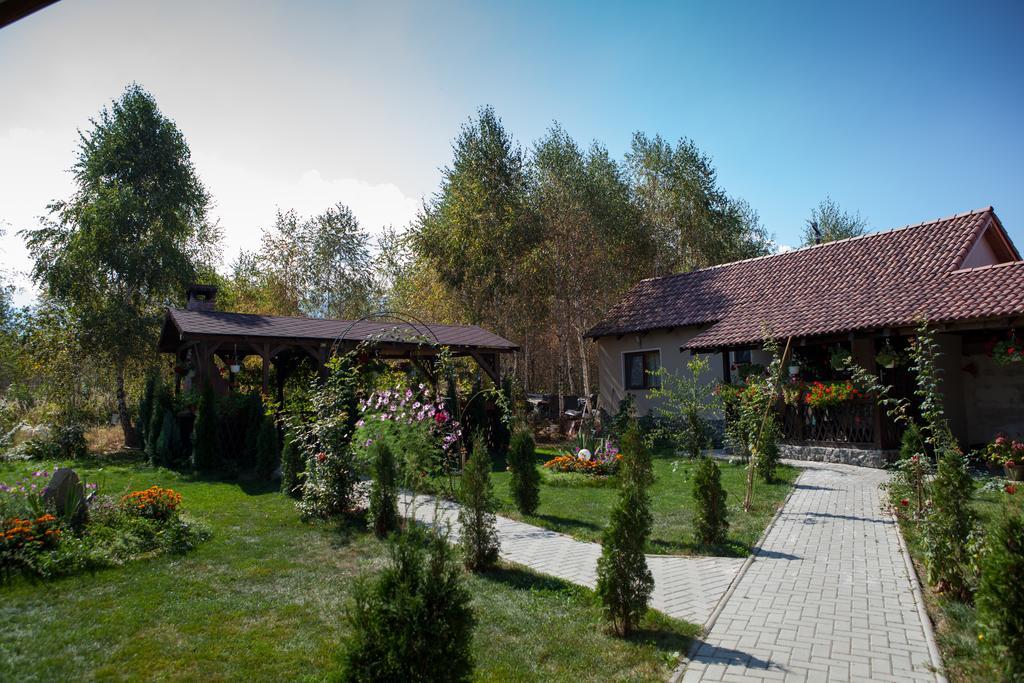 Отель Pensiunea Royal Garden Сымбэта-де-Сус Экстерьер фото